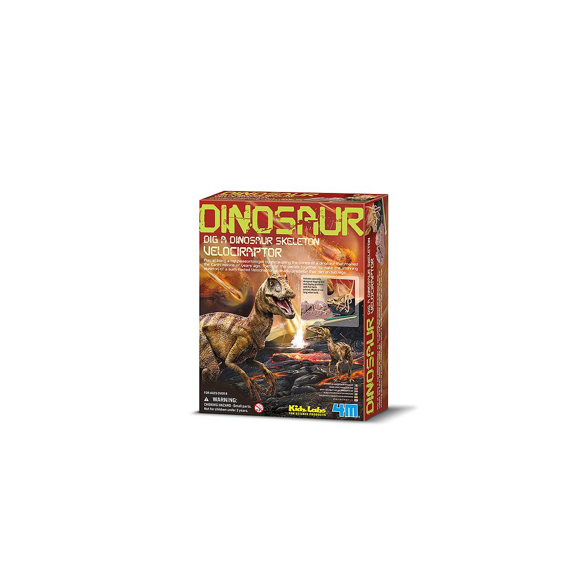Déterre ton dinosaure DINOSAURE 4M