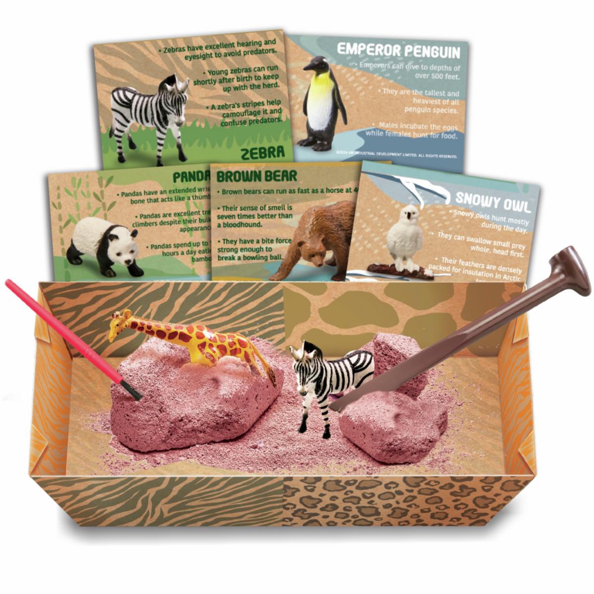 Kit de fouilles pour animaux sauvages 4M