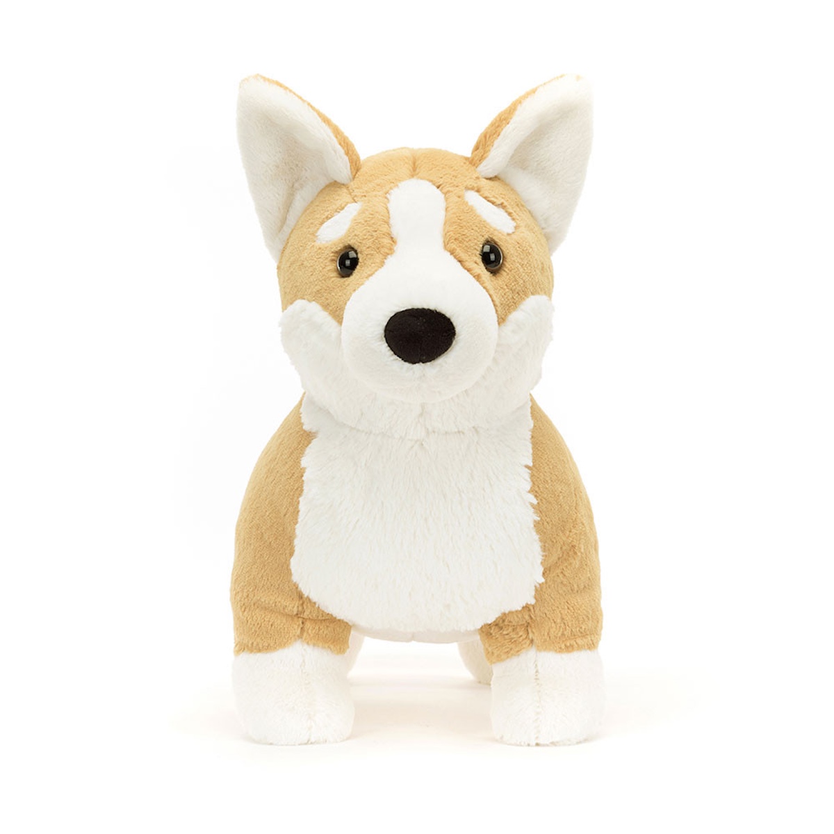 Peluche Betty Corgi Big Jellycat