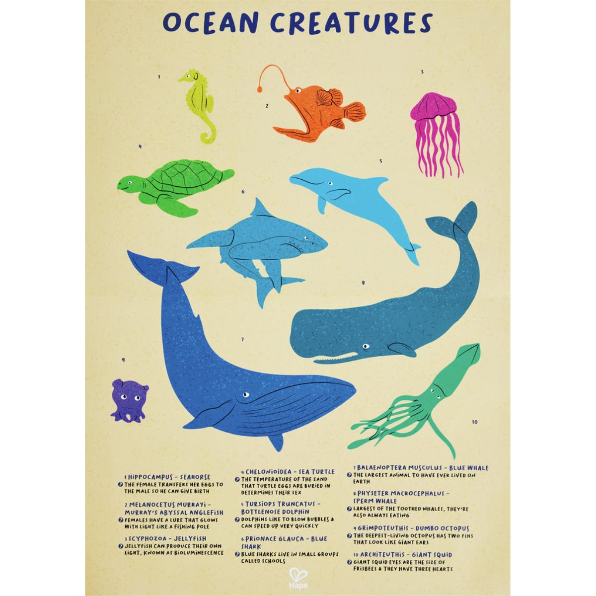 Puzzle géant baleine 200pcs Hape