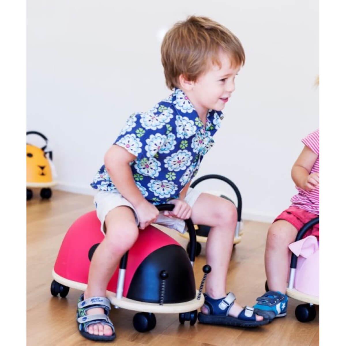 coccinelle wheely bug