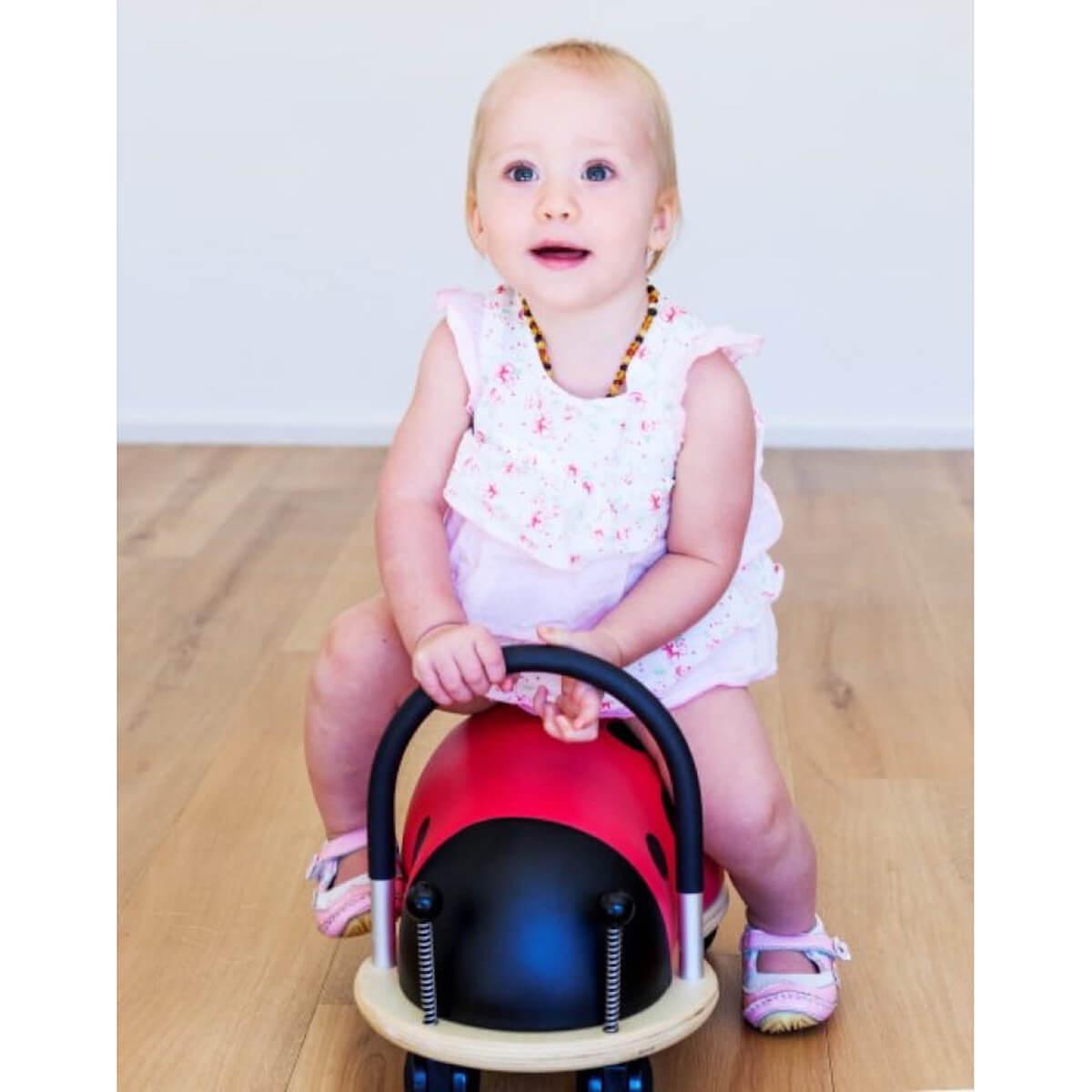 coccinelle wheely bug